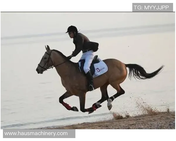 带马的足球明星如何在绿茵场上驰骋与骏马共舞的传奇故事