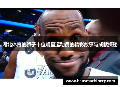 湖北体育的骄子十位明星运动员的精彩故事与成就探秘