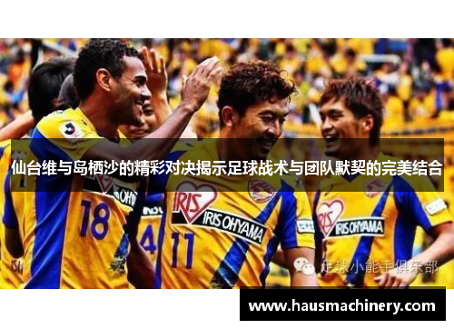 仙台维与岛栖沙的精彩对决揭示足球战术与团队默契的完美结合